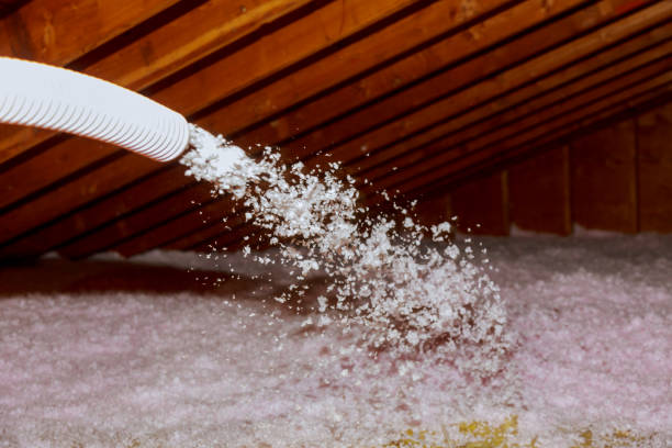 Best Geographic-Specific Insulation Services in Inglewood, CA